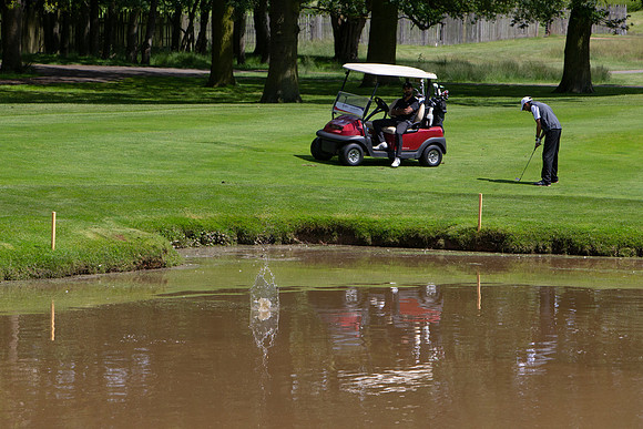 Golf 19-504